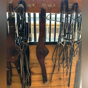 Antares 50” Chestnut Brown Anatomic Leather Carabiner Girth